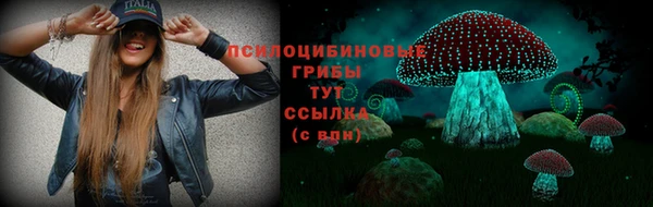 молекула духа Волоколамск