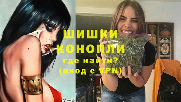 молекула духа Волоколамск