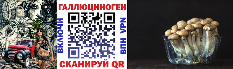 где можно купить наркотик Назрань Галлюциногенные грибы Cubensis